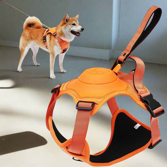 PupLab™ Dog Leash Set