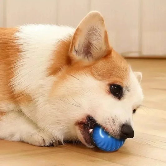 PupLab™ Dog Toy Ball